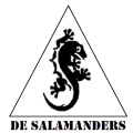 TTV Salamanders