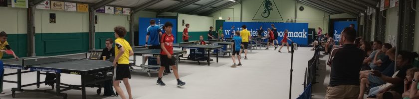 Kennismakingscursus Tafeltennis bij Salamanders 2026